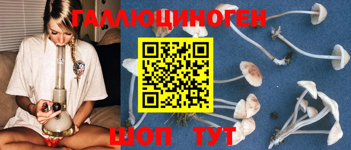 Галлюциногенные грибы MAGIC MUSHROOMS  Ефремов 